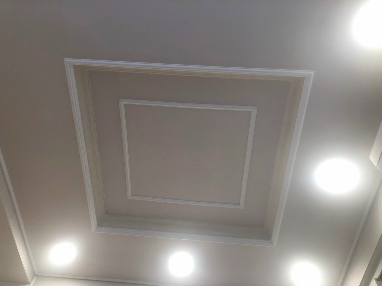 Mẫu tấm trần nhựa