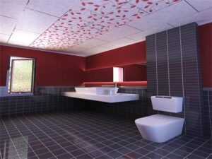 Nhà tắm nên sử dụng loại vật liệu gì làm trần