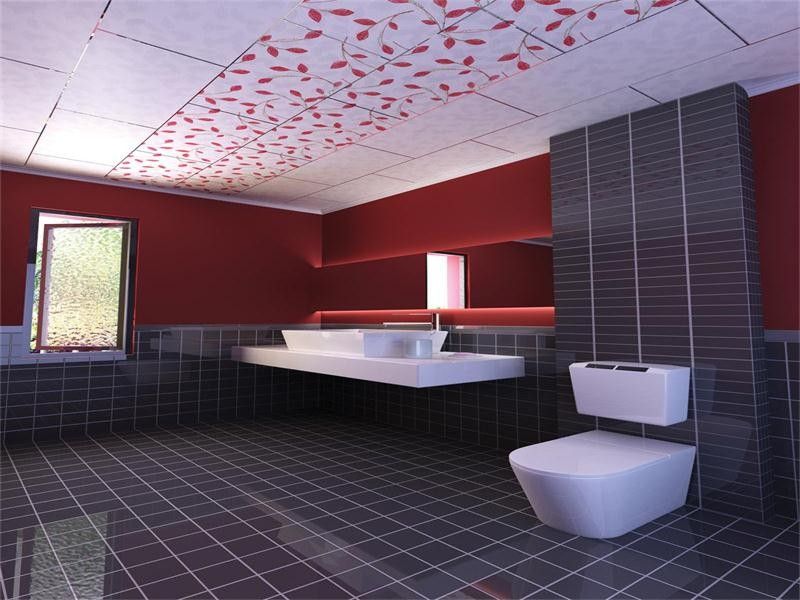 Nhà tắm nên sử dụng loại vật liệu gì làm trần