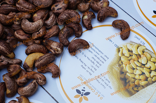 giong-dieu-nao-nang-suat Giống điều nào năng suất