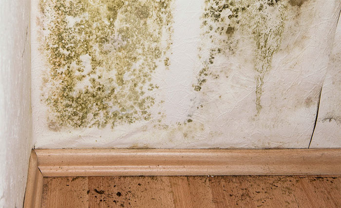 Các loại tấm nhựa ốp tường chống thấm cho ngôi nhà mà bạn không nên bỏ qua